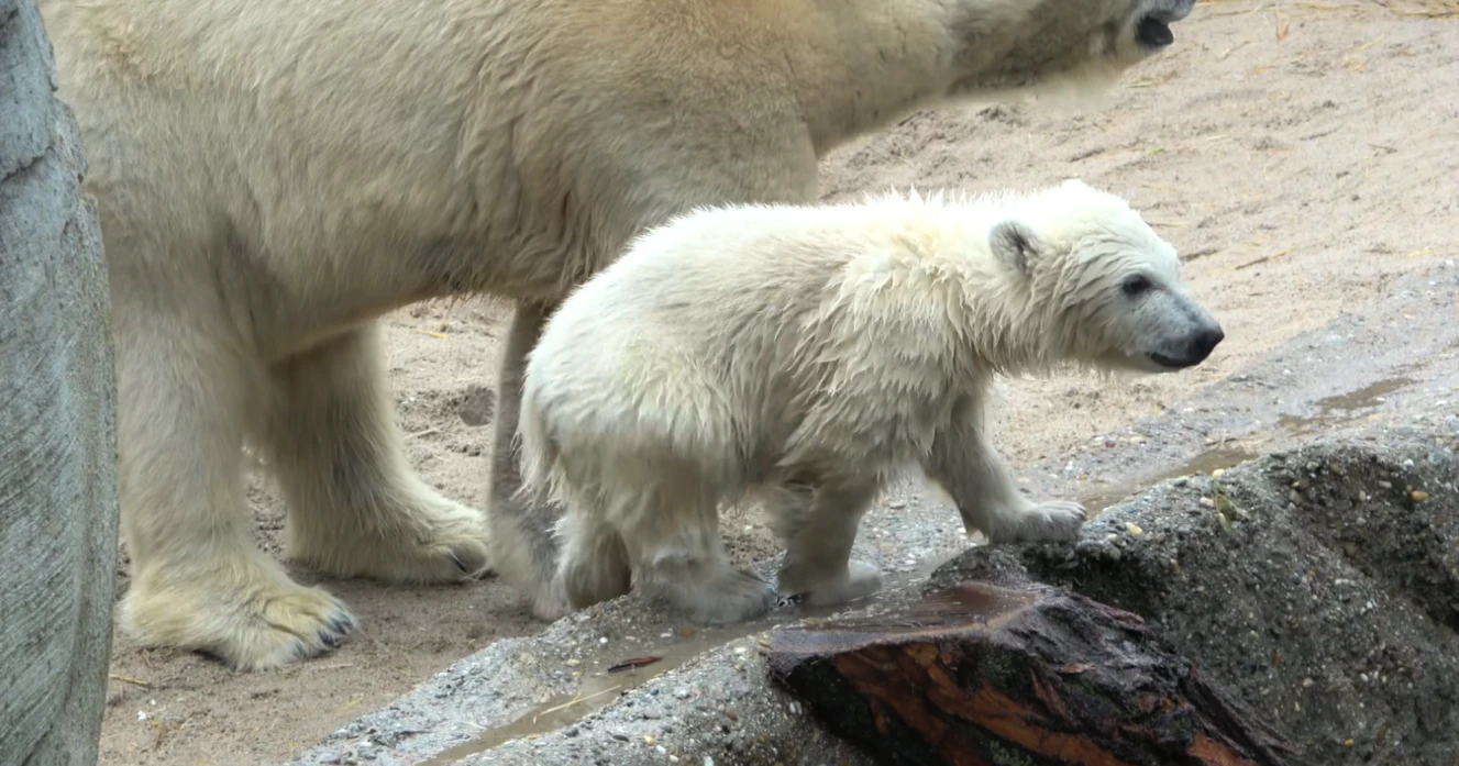  — © Foto: Zoo Karlsruhe
